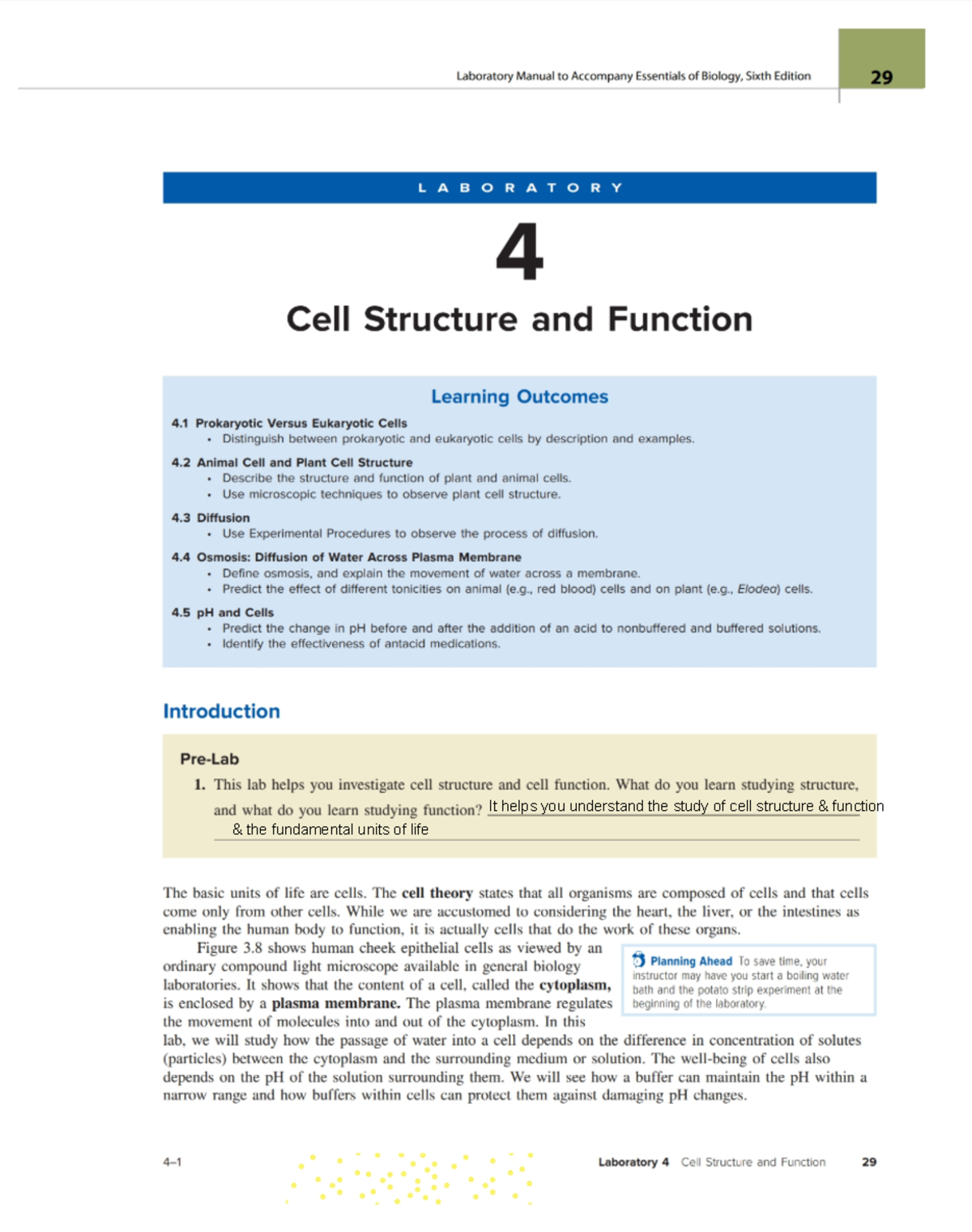 BIO 11 - LAB 4 CELL Structure AND Function - Bio 11 - Studocu