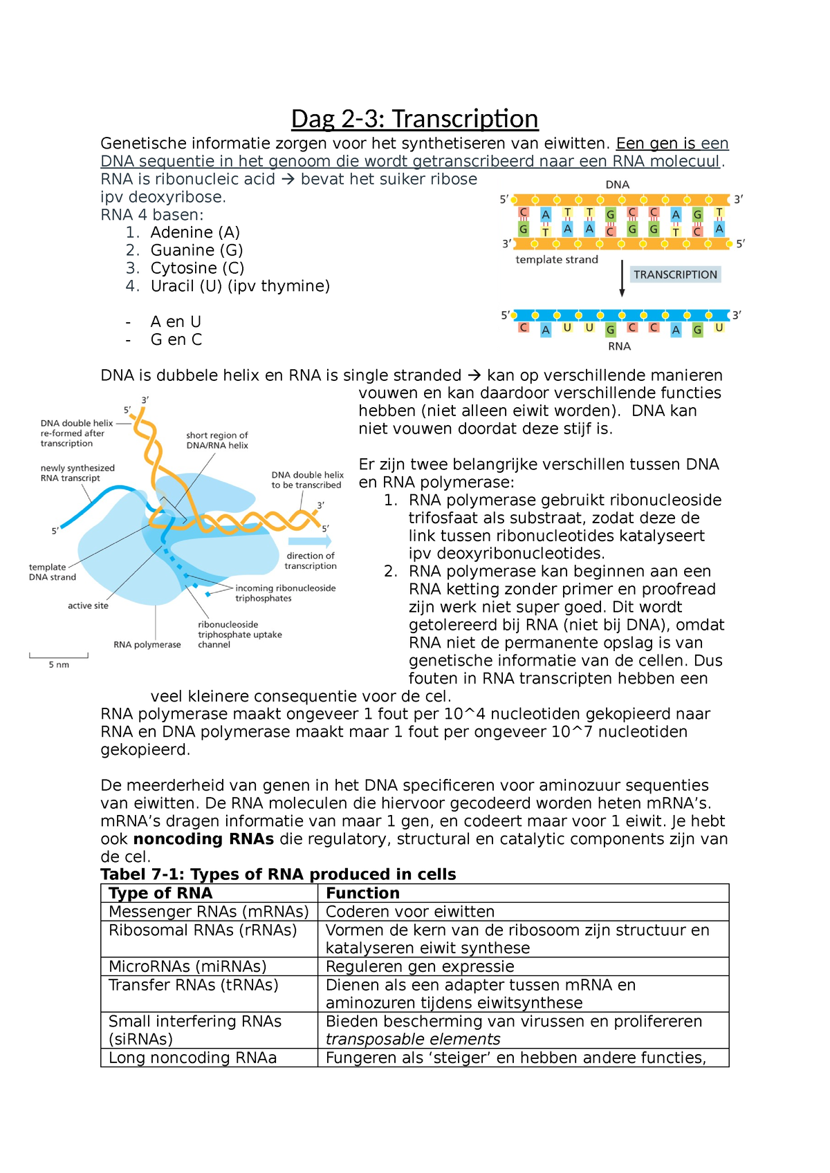 Samenvatting Dag 2 3 Transcription Essential Cell Biology Dag 2 3