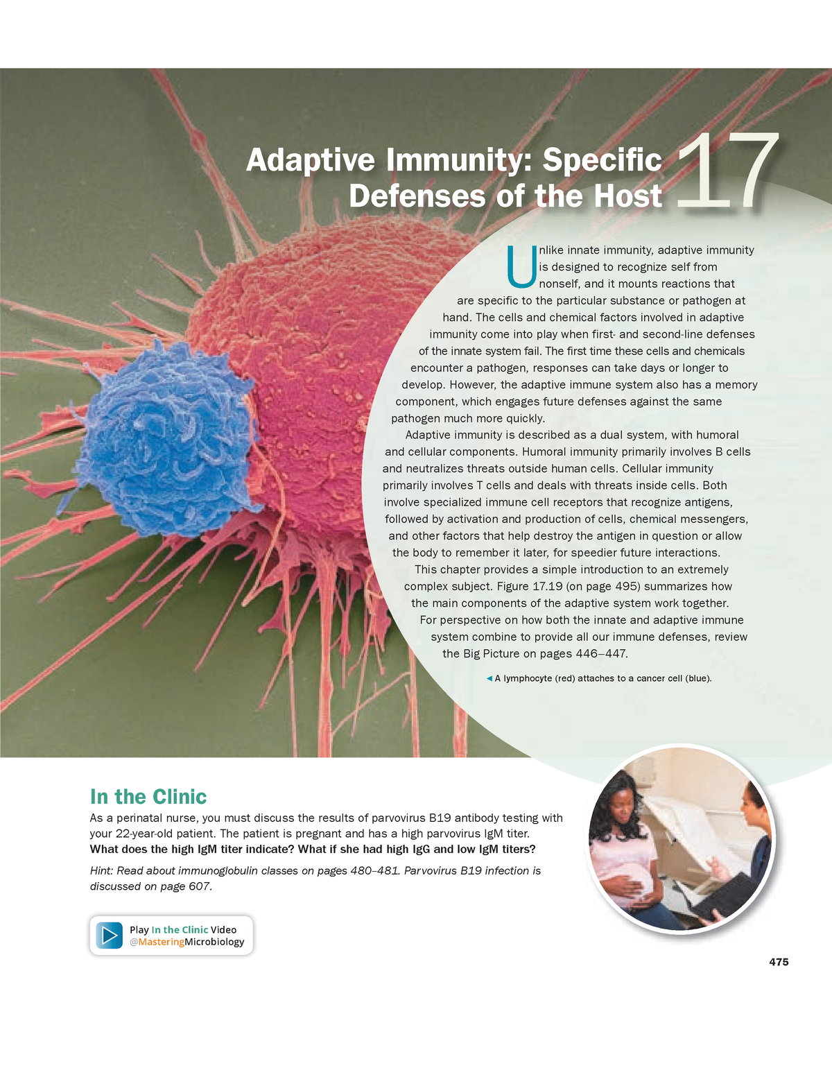 Chapter 17-compressed - 17 Adaptive Immunity: Specific Defenses Of The ...