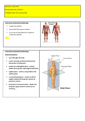 Anatomy AND Physiology 1 MHS1101 Revision EXAM Preparation Copy ...