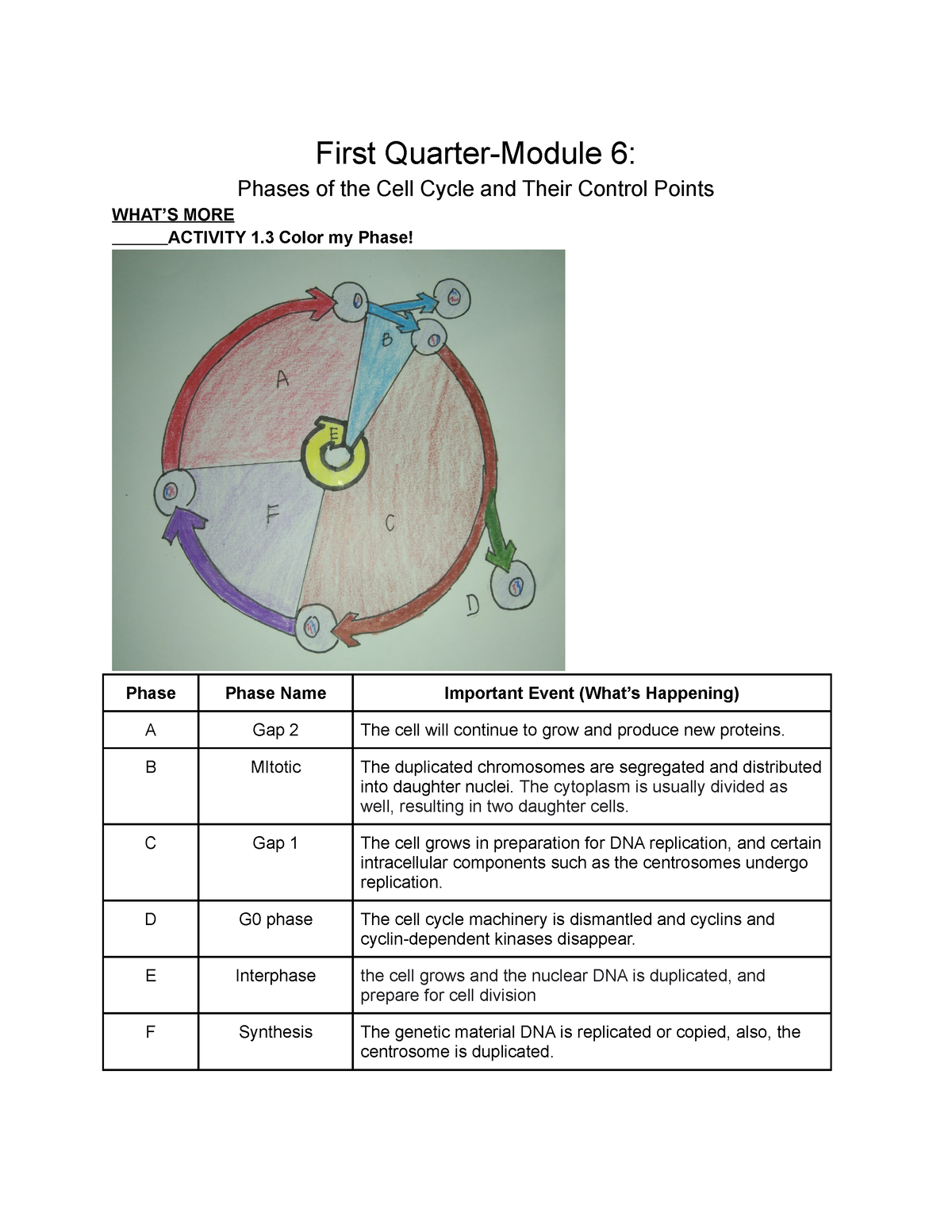 General Biology Phases Of The Cell Cycle And Their Control Points First Quarter Module 6