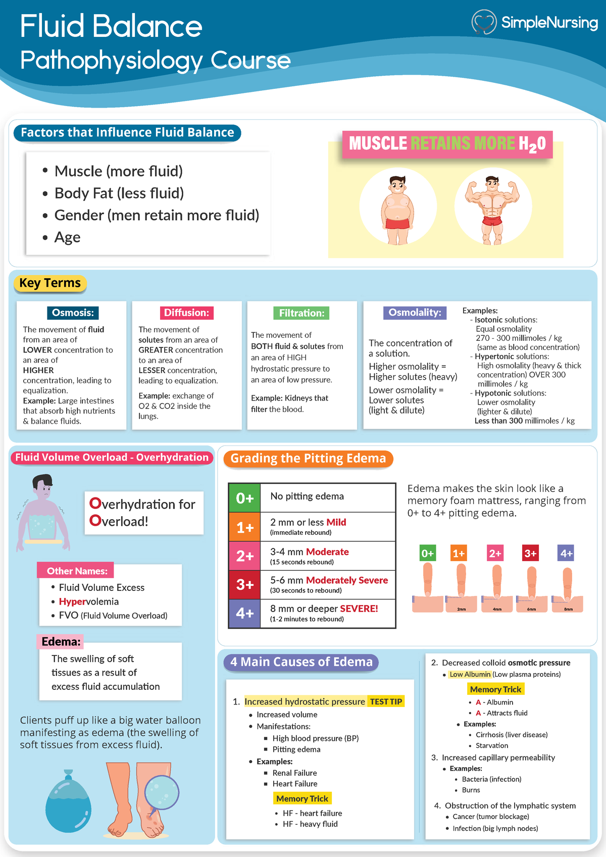 Simple Nursing Lab Values /Patho - Fluid Balance Pathophysiology Course ...