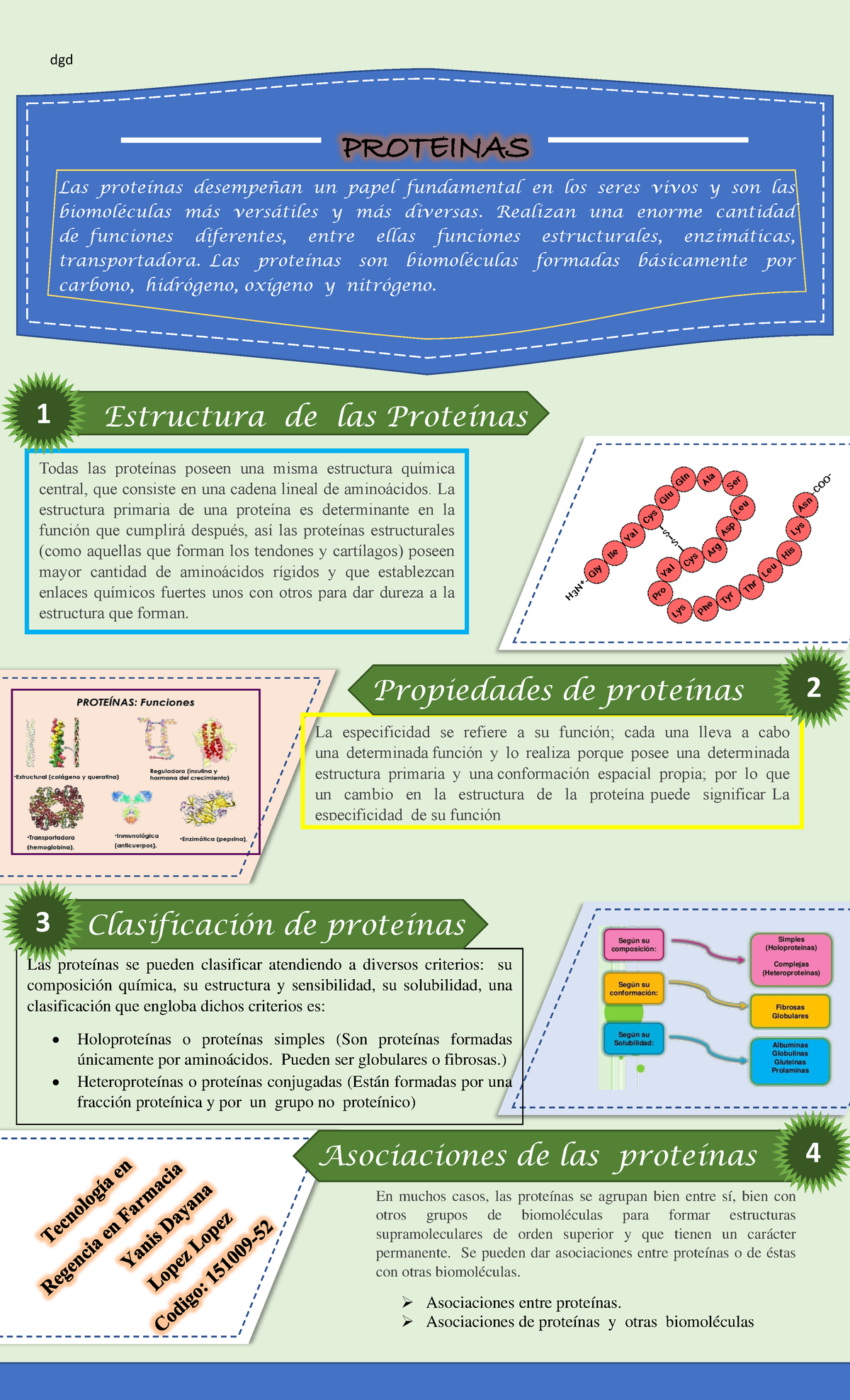 Infografia Proteinas Yanis Lopez Dgd Todas Las Proteínas Poseen Una Misma Estructura Química 4050