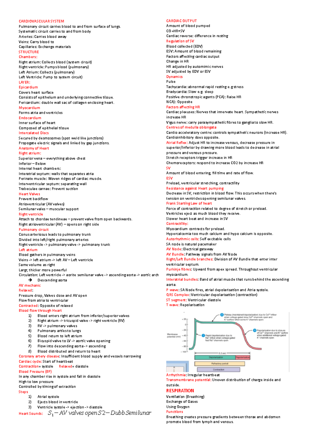 HAP Final EXAM Notes Summary Human Anatomy and Physiology CARDIOVASCULAR SYSTEM Pulmonary