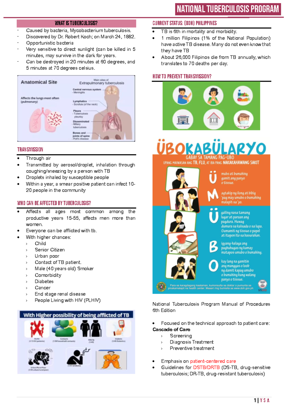 What is tuberculosis - What is tuberculosis? Caused by bacteria ...