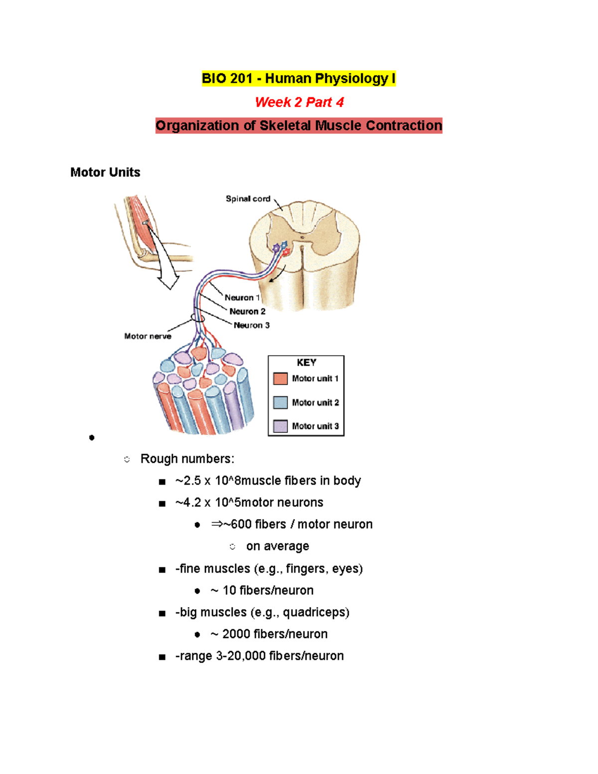 BIO 201 Lecture Notes Week 2 Part 4 - Winter 2019 - BIO 201 - Human ...