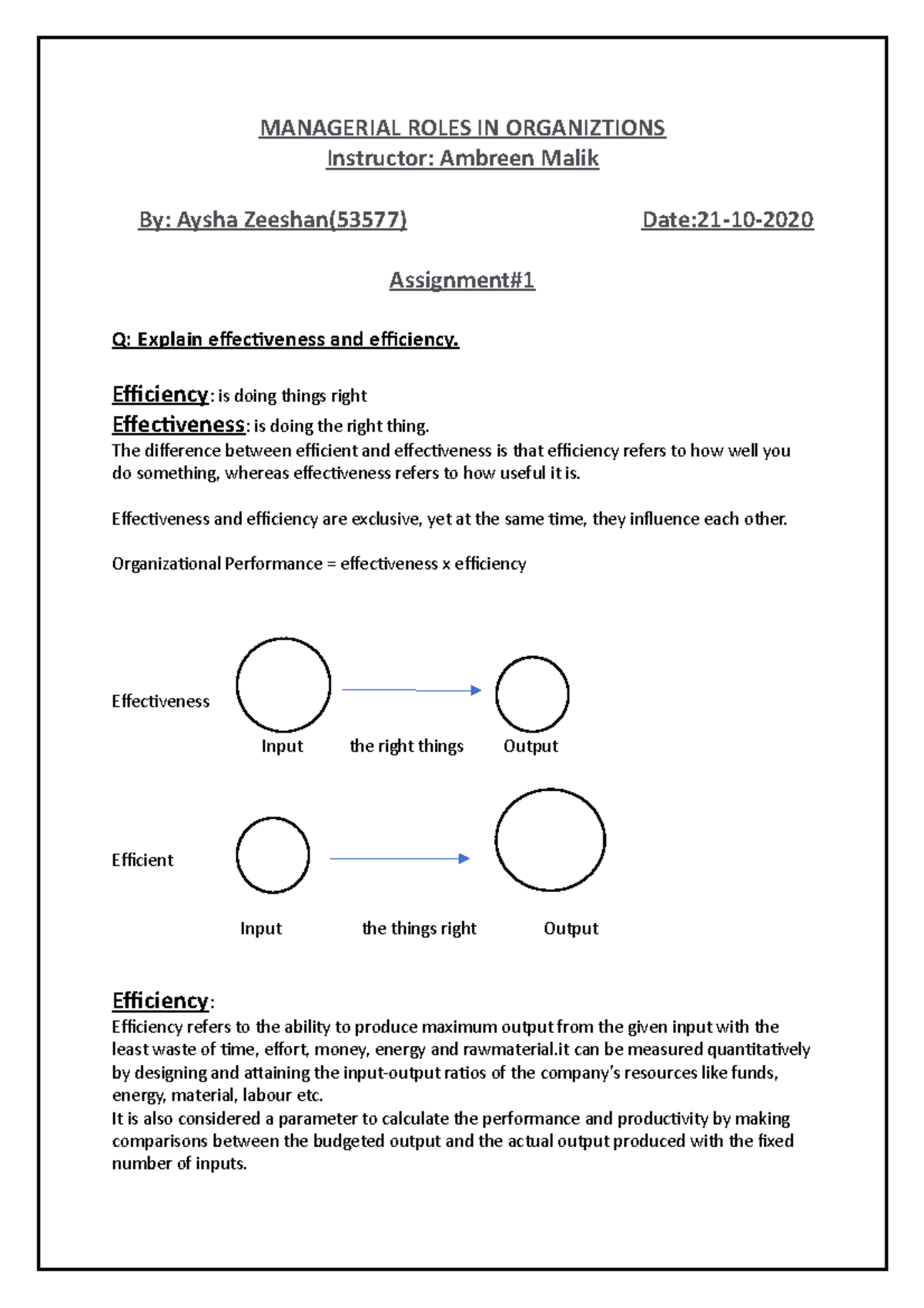 MRO Assignment 1 - Effectiveness and Efficiency - MANAGERIAL ROLES IN ...