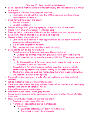 Anatomy Exam 1 Study Guide - CHAPTER 1 Anatomy: study of external and ...
