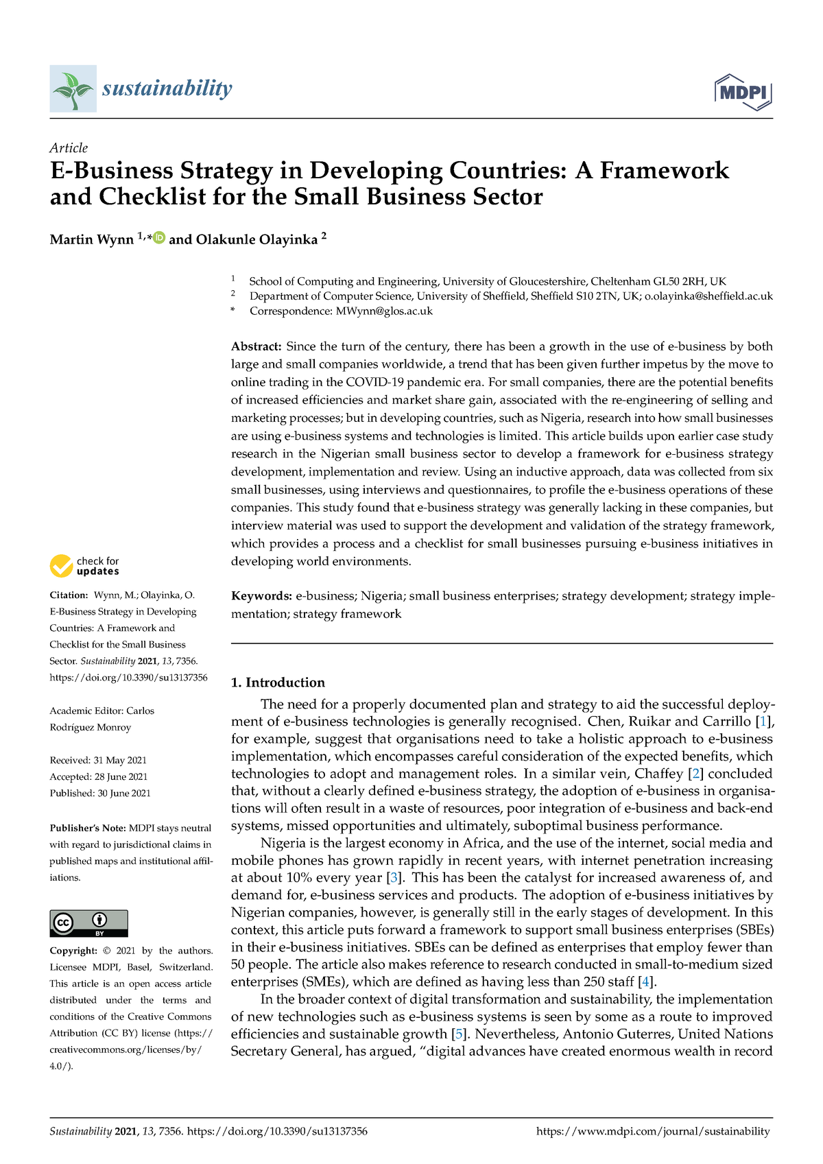 e-business-strategy-in-developing-countries-a-fram-sustainability