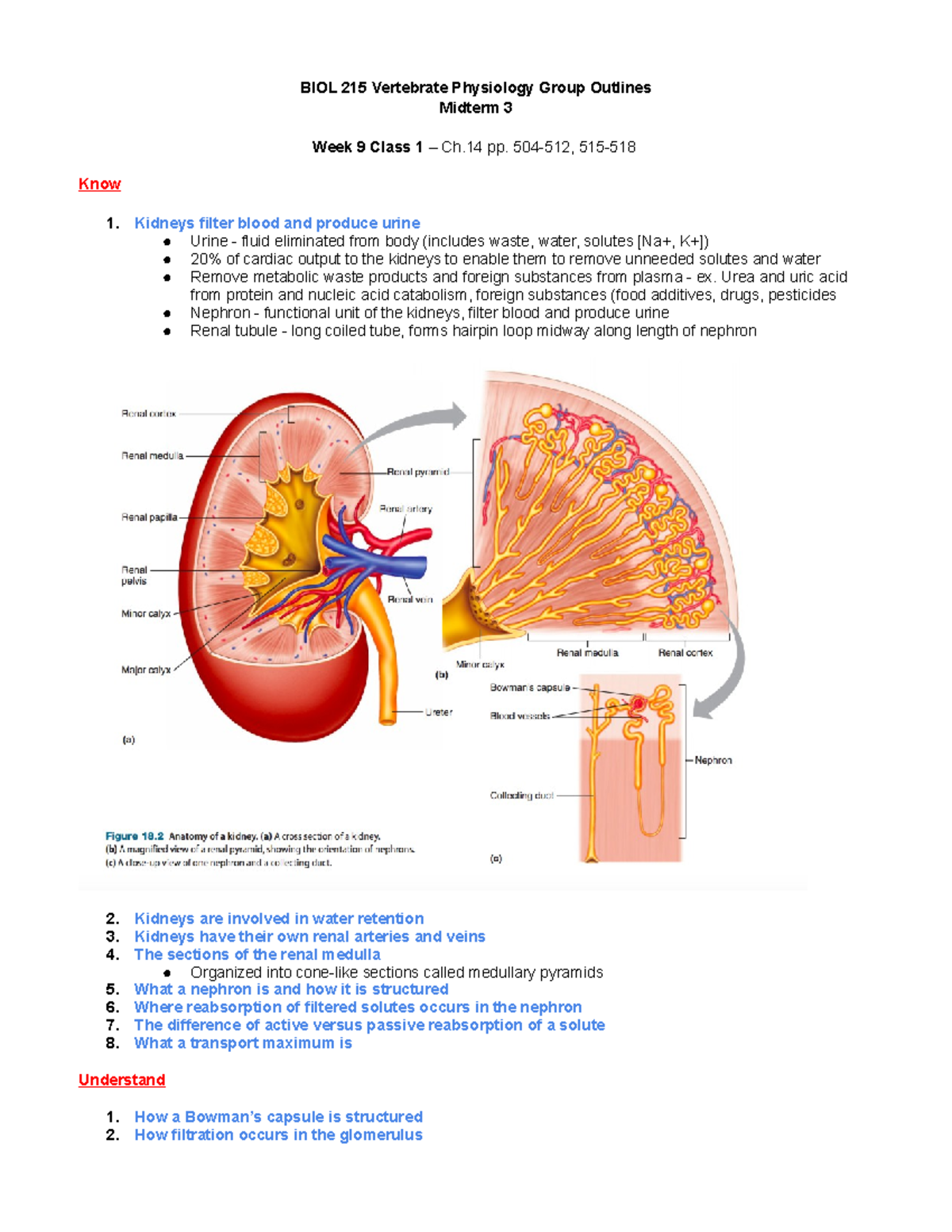 BIOL 215 Group Outlines Midterm 3 - BIOL 215 Vertebrate Physiology ...