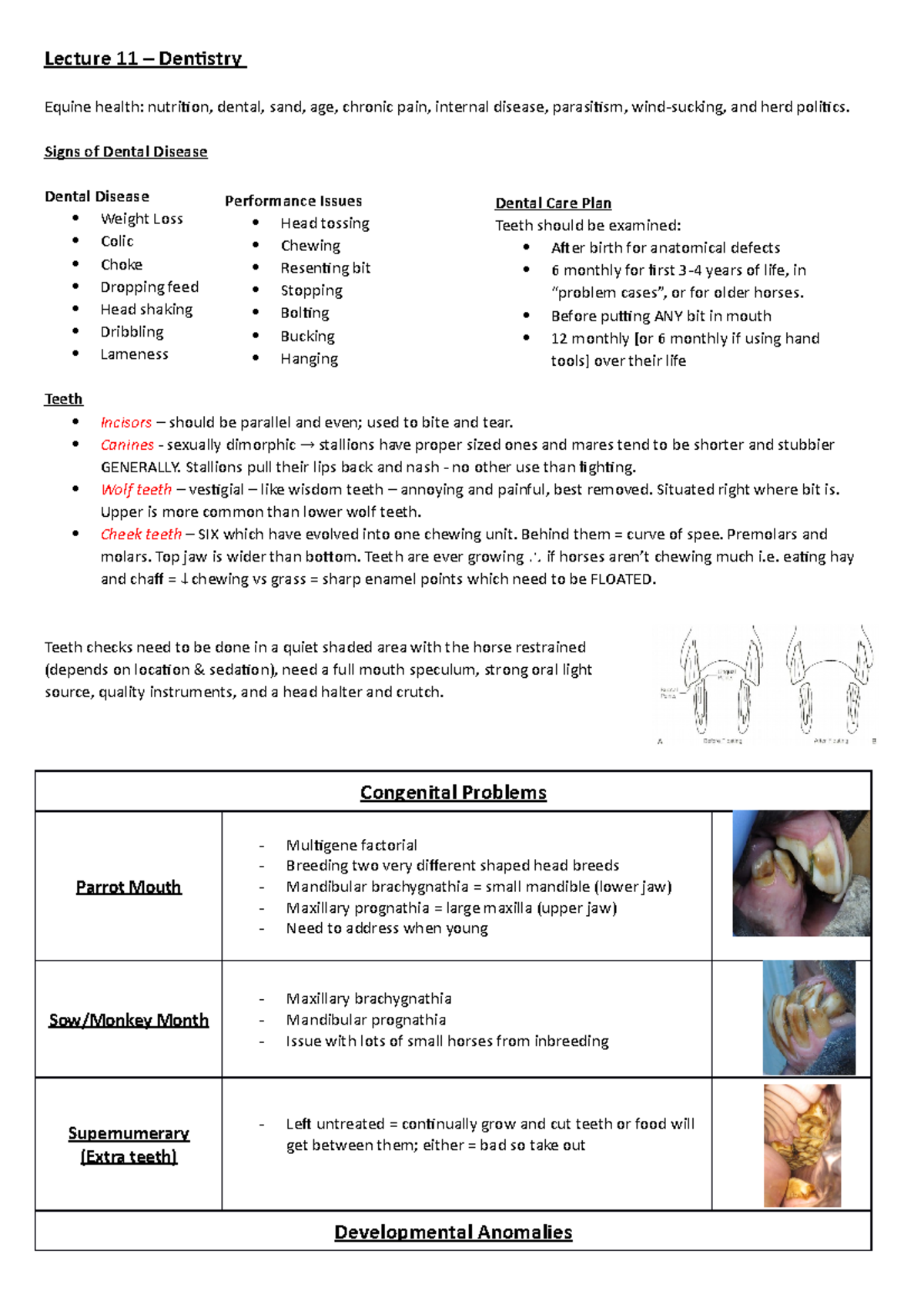 L11 Dentistry Lecture notes 11 Lecture 11 Dentistry Equine