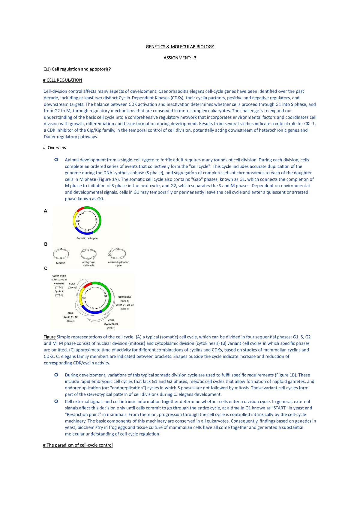 biology genetics assignment