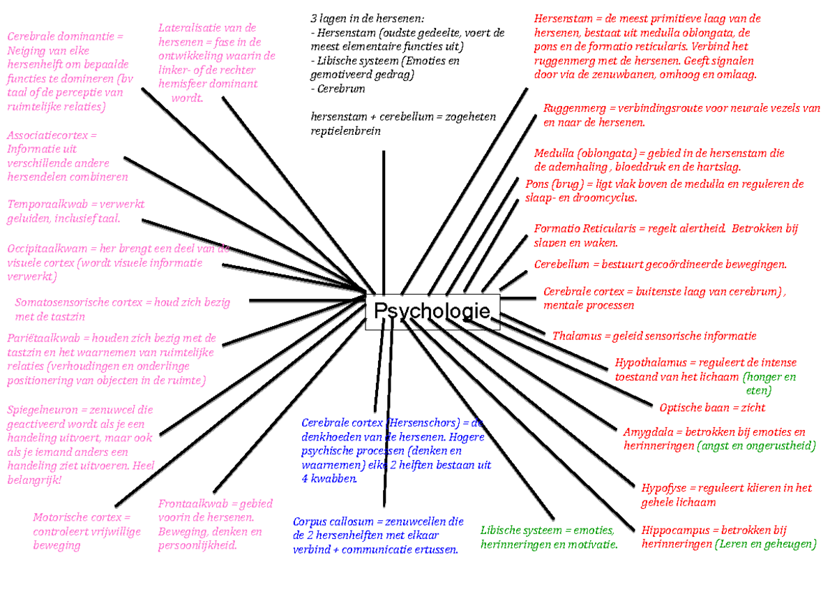 Samenvatting psychologie college 1 - mindmap - Lateralisatie van de