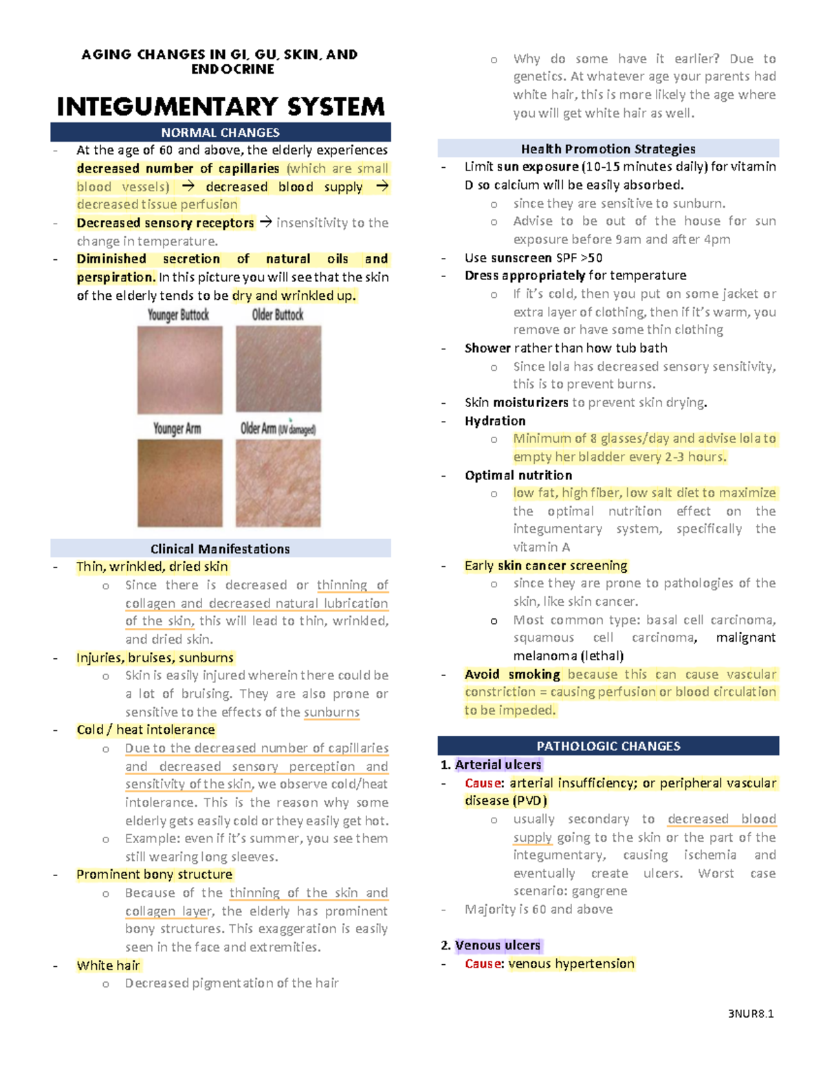 Biochemistry Changes in GI GU Skin Endocrine - AGING CHANGES IN GI, GU ...