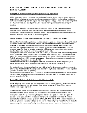 Chapter-56-Outline - This document summarizes chapter 56 - Chapter 56 ...