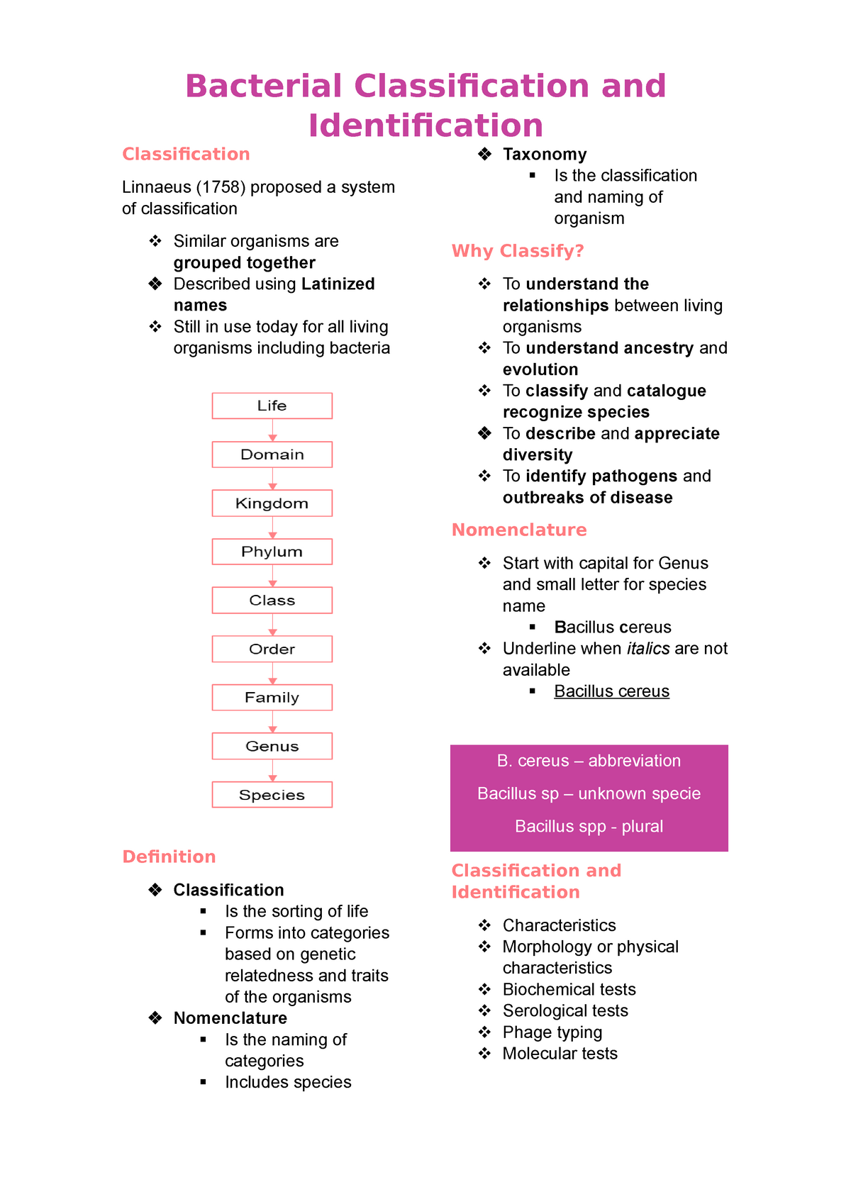 Bacterial Classification And Identification General Microbiology Studocu