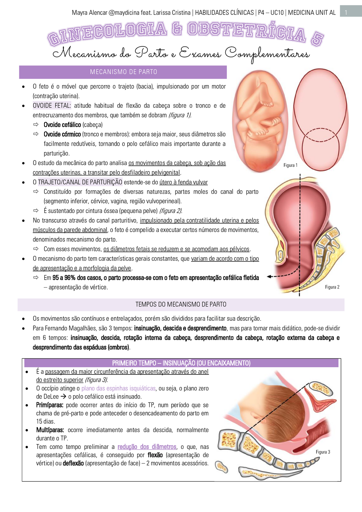 Clínicas 5 Uc10 Mecanismos Do Parto E Exames Complementares Em Go M Eca N Ism O D E Par To 