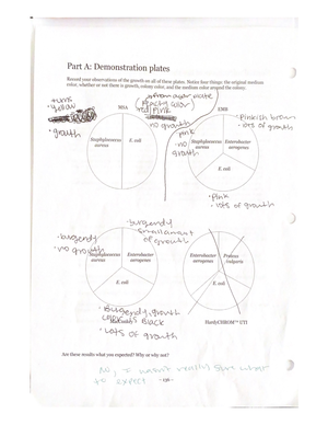 Micro 22 lab report 2 - MICRO 22 LAB REPORT LAB NUMBER 2 TITLE ...