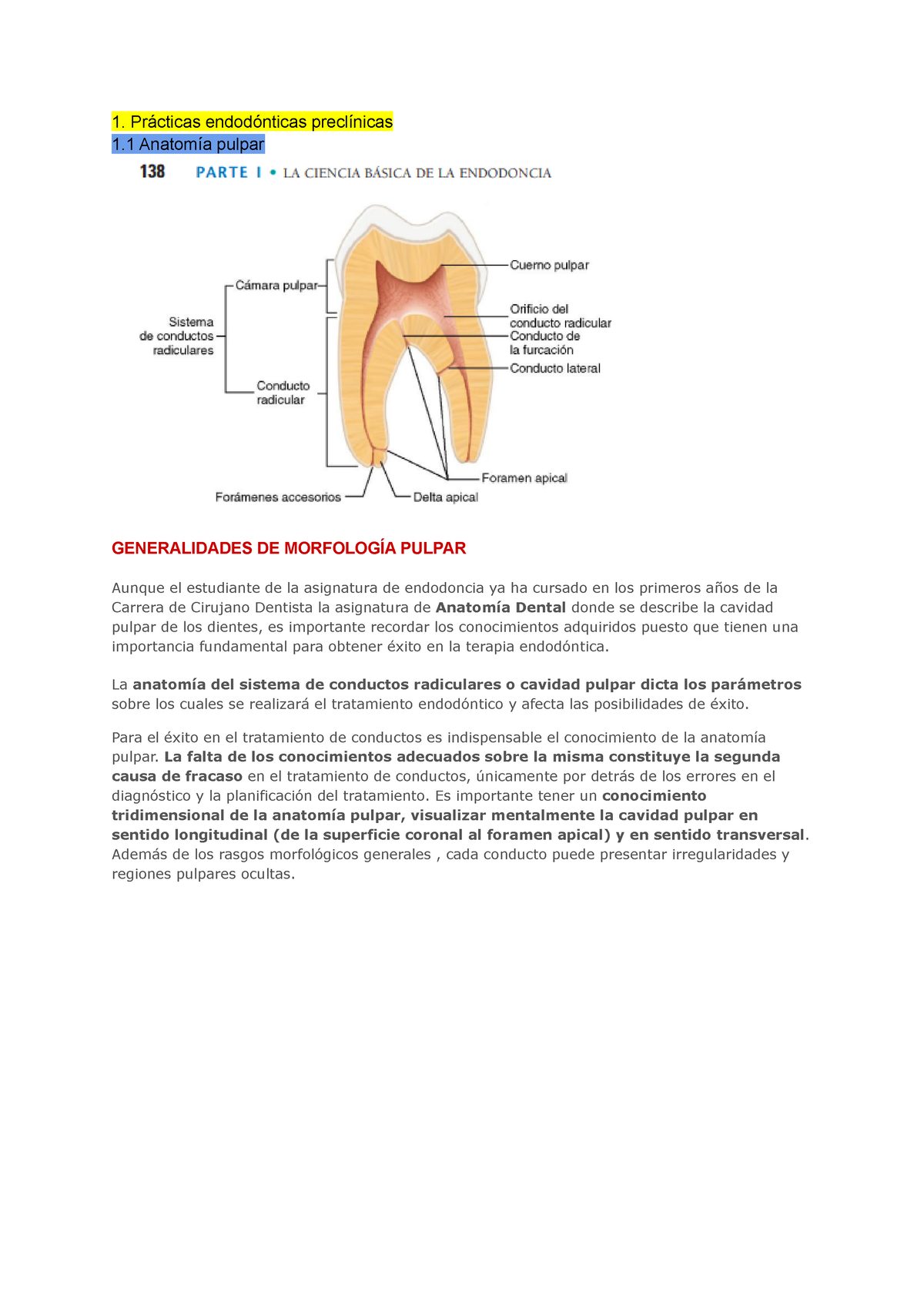 Guía Apunte de examen Anatomía dental Prácticas endodónticas preclínicas Anatomía