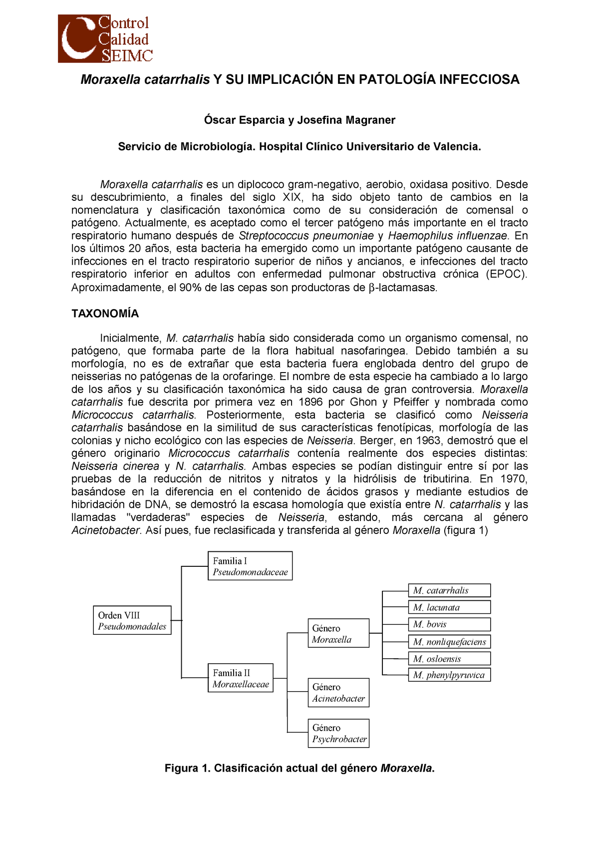 Moraxella - Resumen - Moraxella Catarrhalis Y SU IMPLICACIÓN EN ...