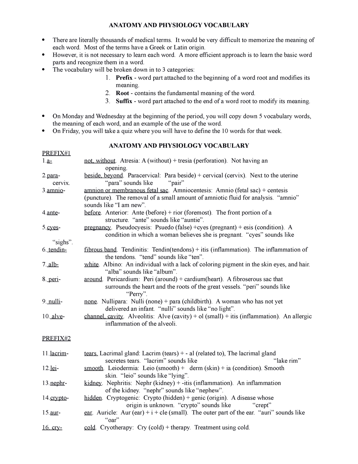 AN S 214 Selsby avdonina Copy of Anatomy AND Physiology Vocabulary 1 ...