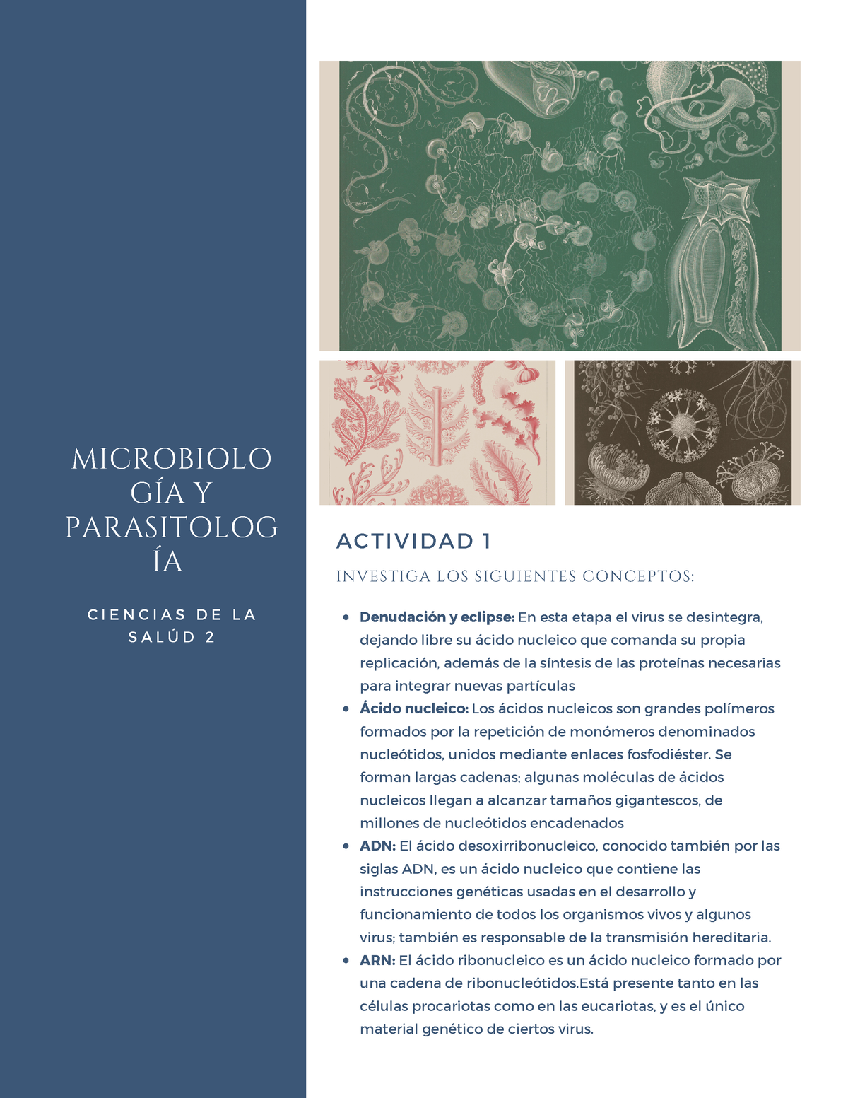 Microbiología Y Parasitología - Ciencias De La Salud - MICROBIOLO GÍA Y ...