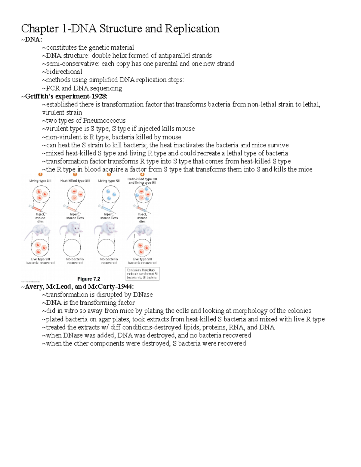 Bio 203 Notes - Chapter 1-DNA Structure and Replication ~DNA ...