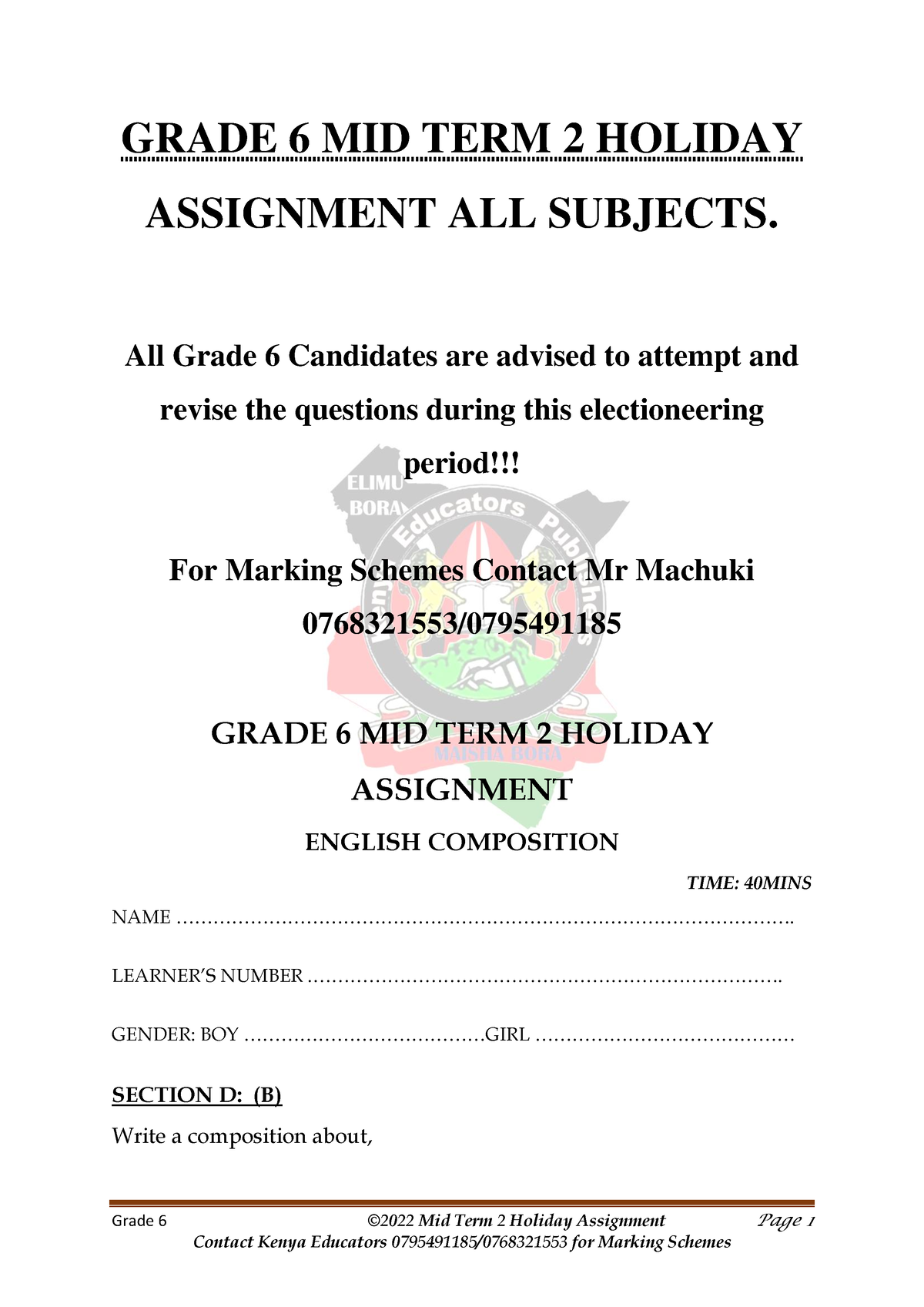 grade 6 holiday assignment