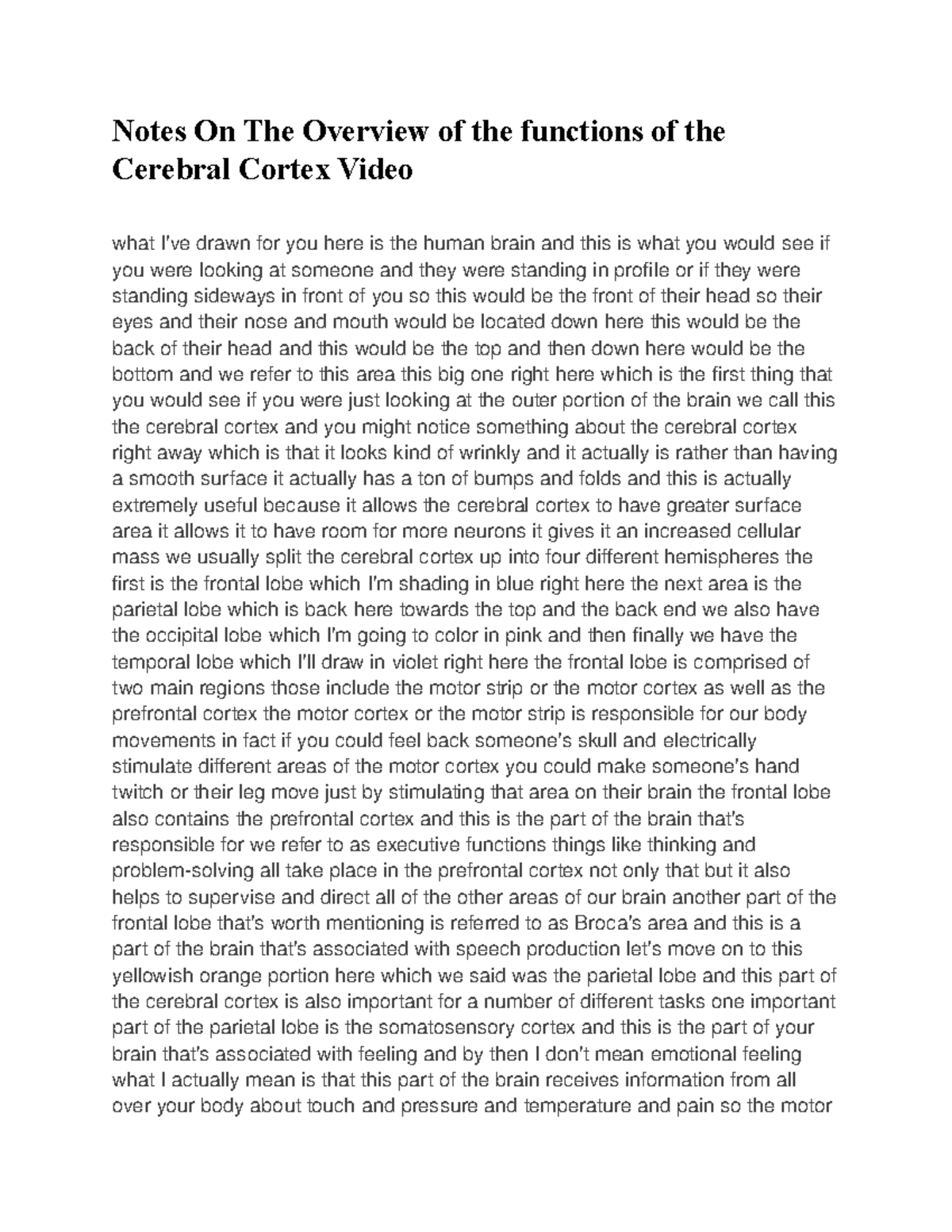 Notes On The Overview of the functions of the Cerebral Cortex Video ...