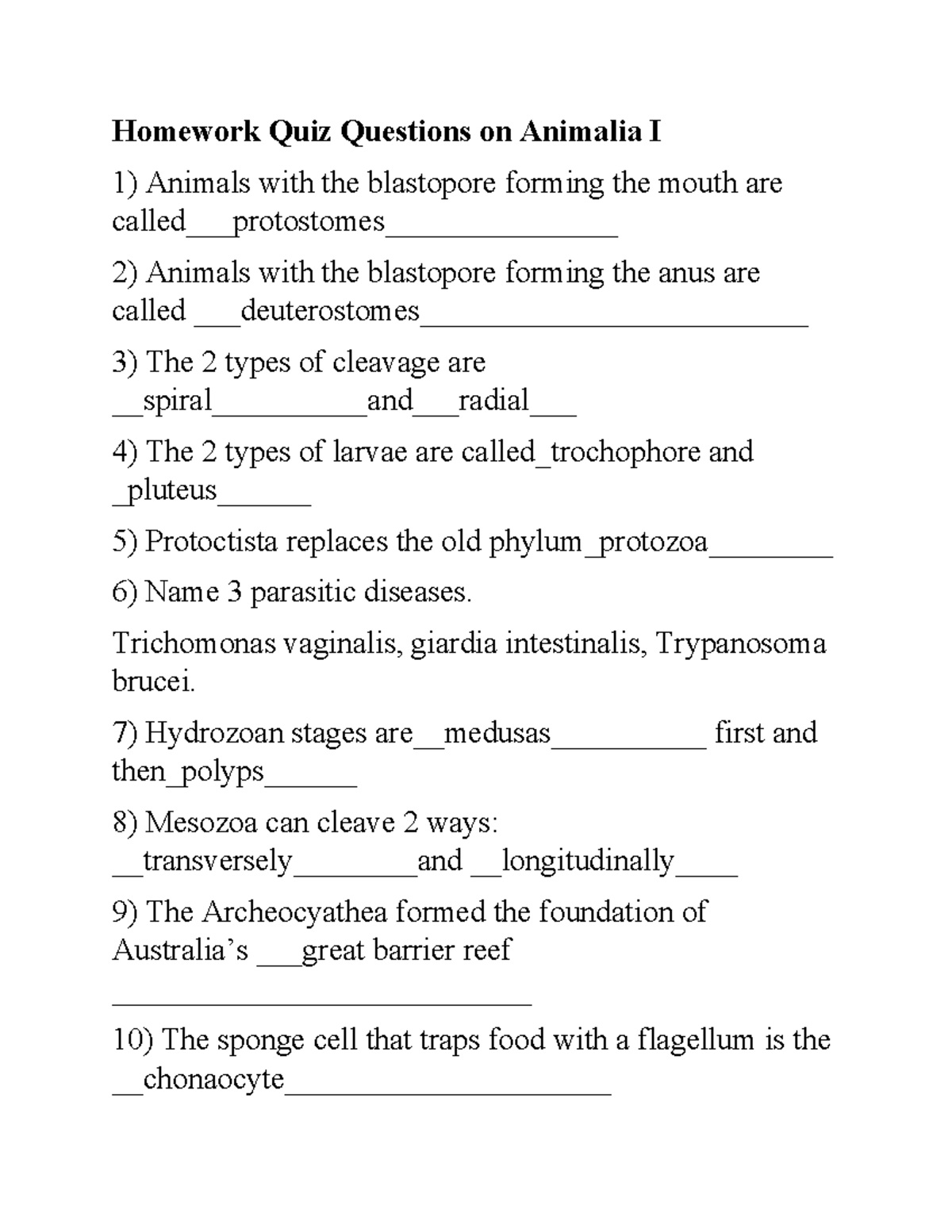 Homework Quiz Questions on Animalia I - Homework Quiz Questions on ...