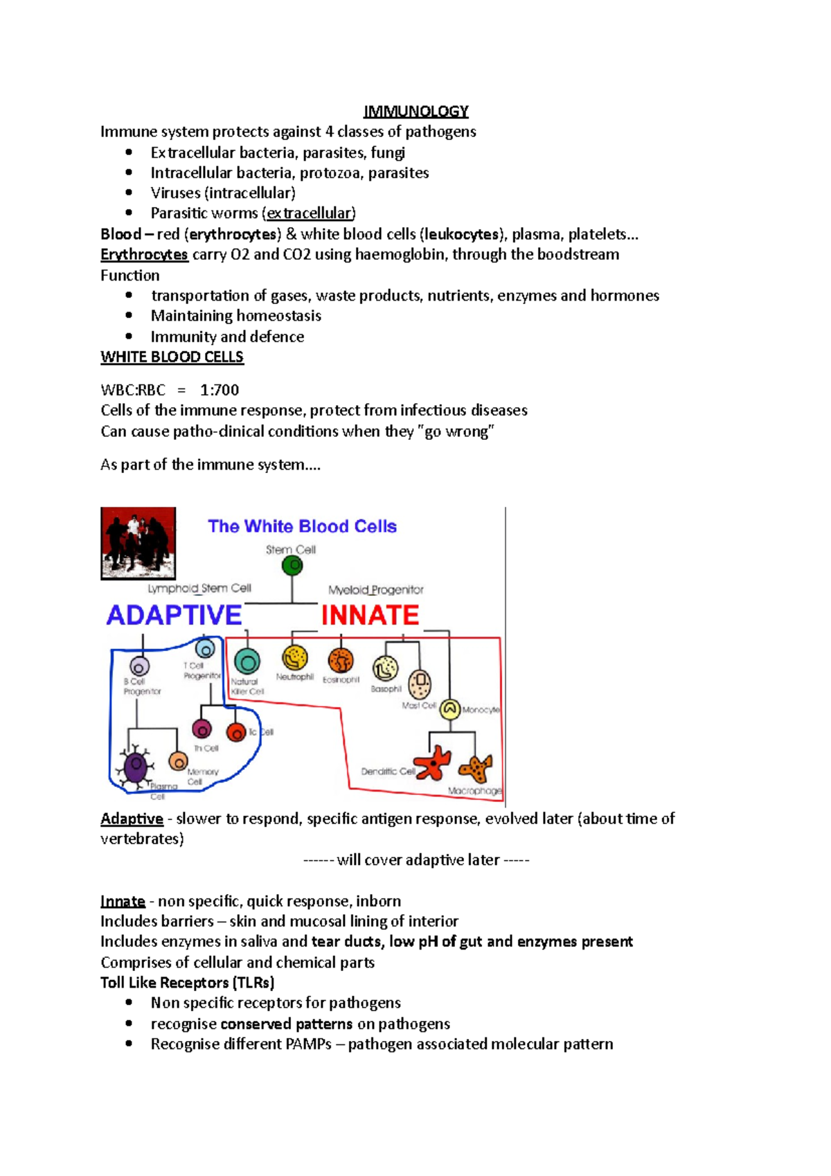 case study 4 immune system