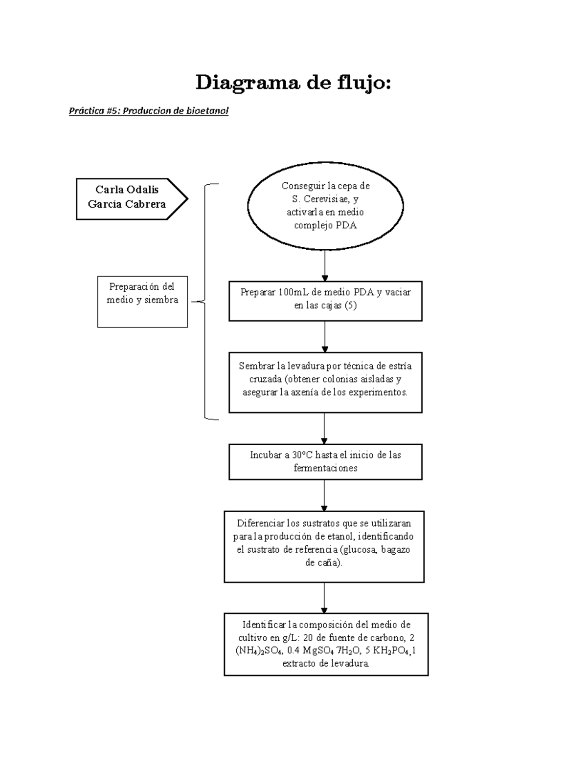 Diagramas De Flujo Practicas De Laboratorio Diagrama De Flujo Práctica 5 Produccion De 0944