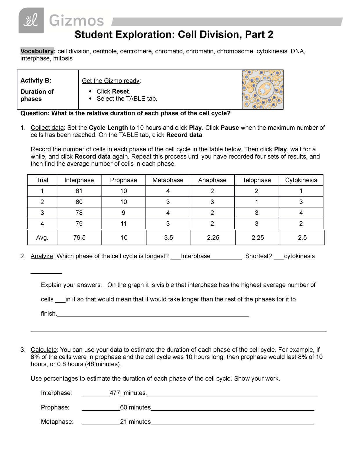 Cell Division Gizmo 2222 Part 22 - Student Exploration: Cell For Cell Division Worksheet Answers