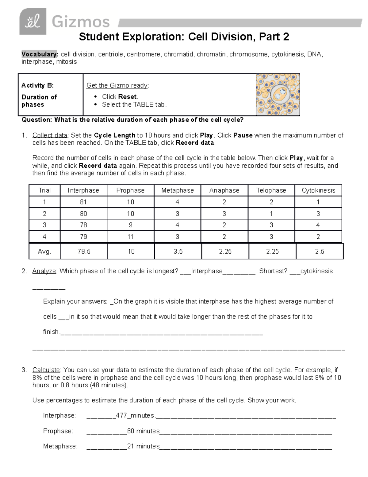 Cell Division Gizmo 2021 Part 2 - Student Exploration: Cell Division, Part 2 Vocabulary: Cell - Studocu