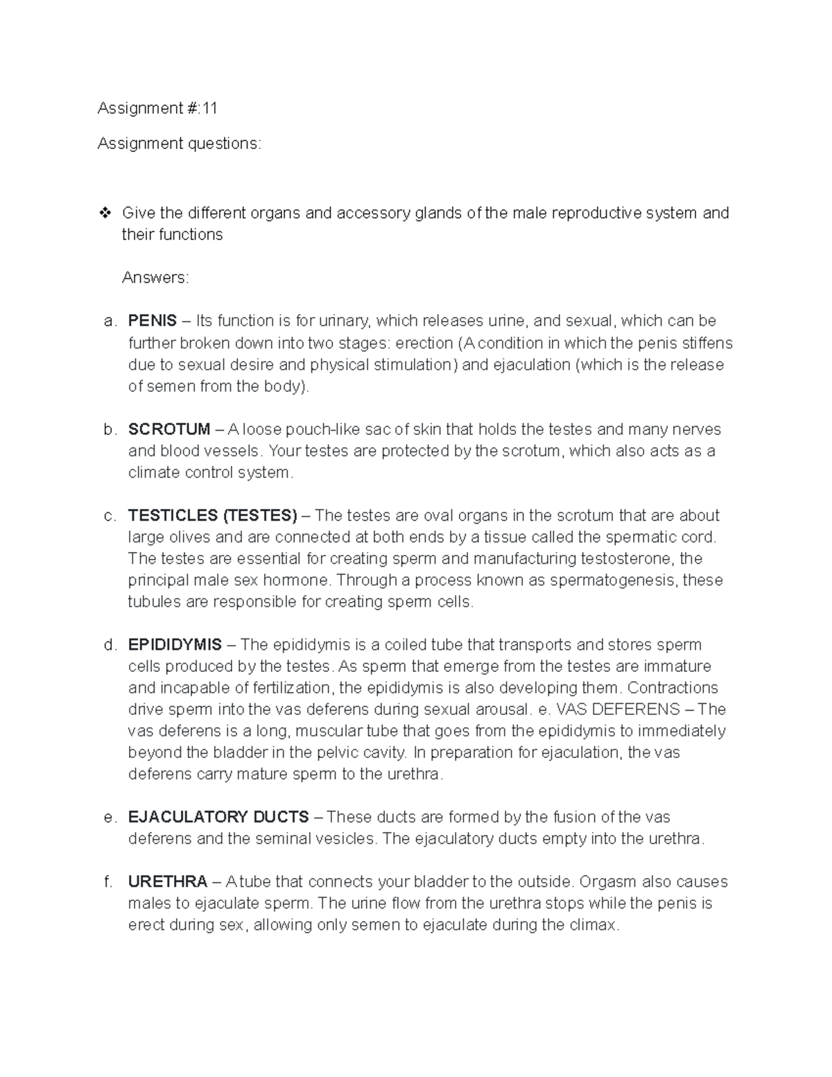 Accessory glands - lecture notes - Assignment #: Assignment questions ...