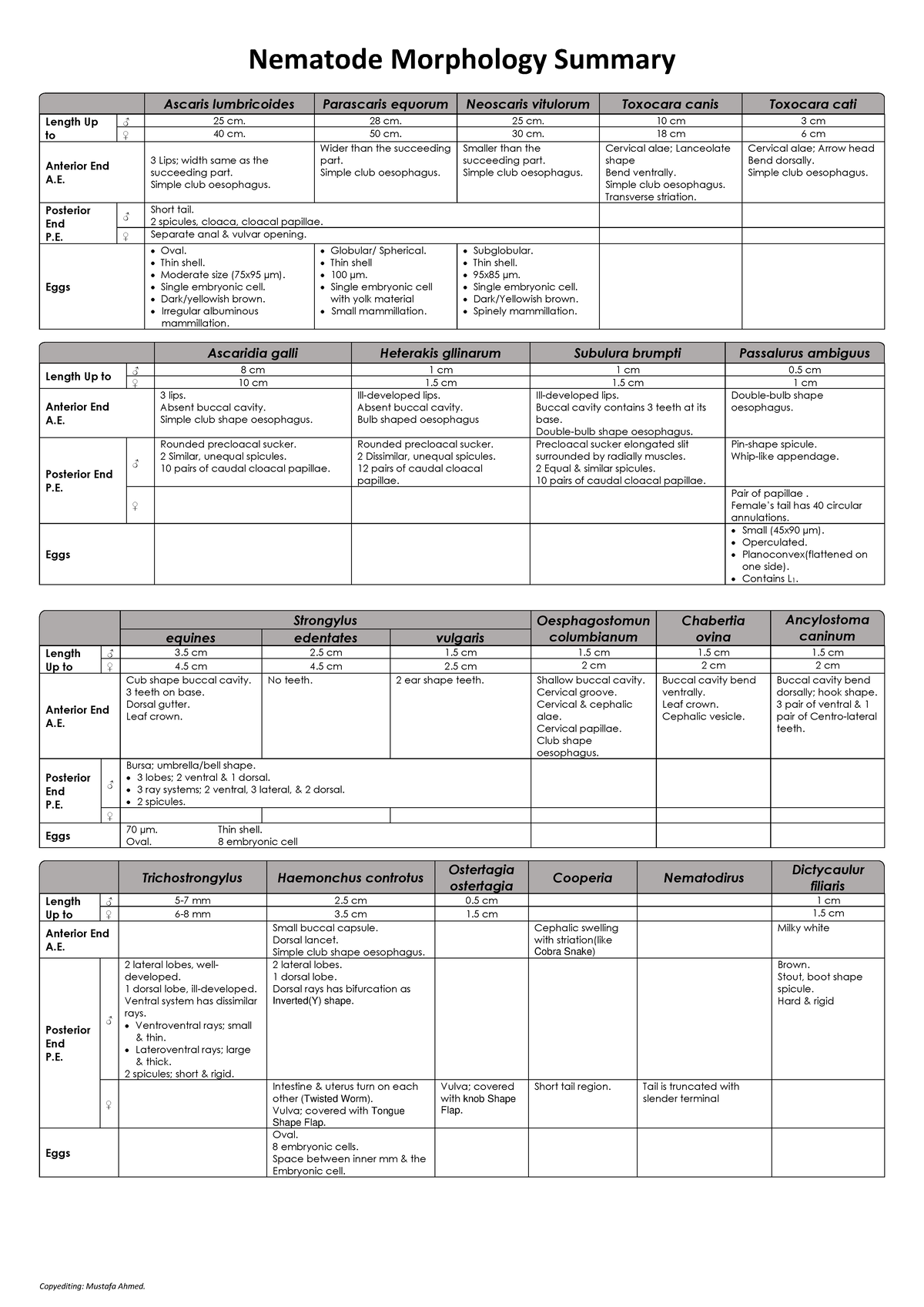 Nematode Morphology Summary-1 - Copyediting: Mustafa Ahmed. Nematode ...