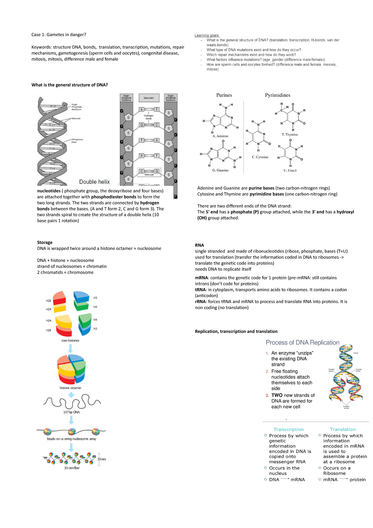 case-1-gametes-in-danger-case-1-gametes-in-danger-keywords