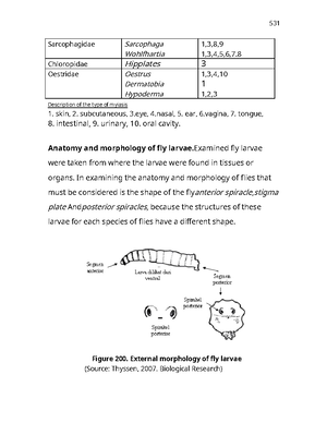 Medical - Anatomy And Motrphology 41-50 - Figure 205 Of Soft Ticks And ...