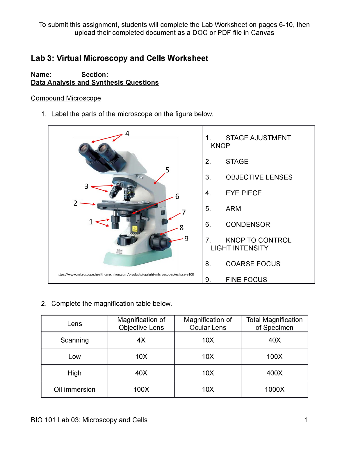 Lab 1 Activity Packet Microscopy Lab 1 Microscope Lab Worksheet Name