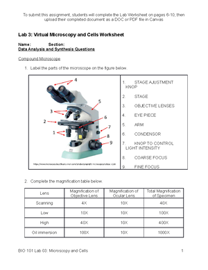 BIO 101 Lab 03, Microscopy and Cells,original - upload their completed  document as a DOC or PDF file - Studocu