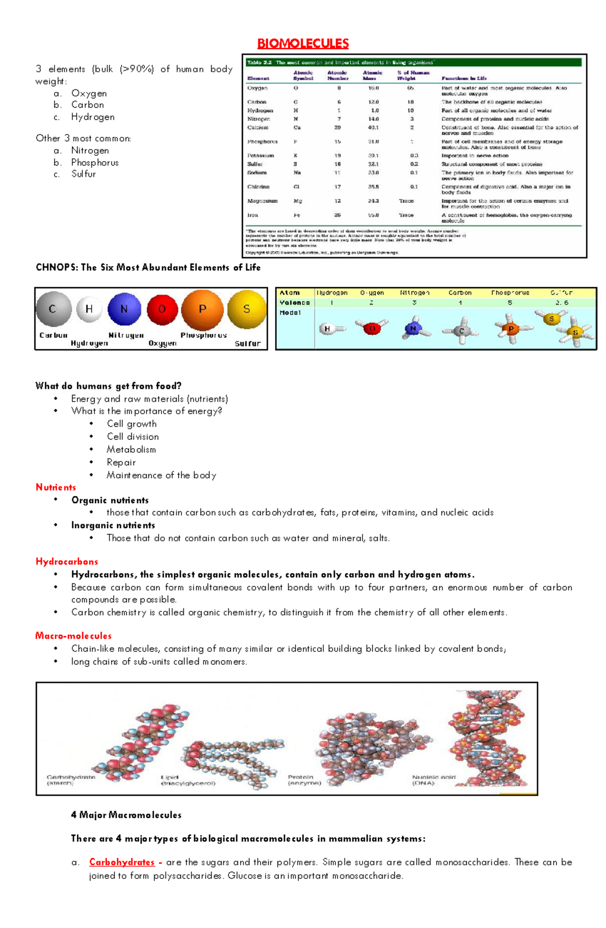 Biomolecules Notes - Warning: TT: undefined function: 32 BIOMOLECULES 3 ...