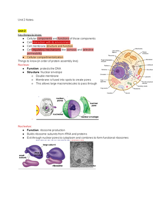 AP Bio Unit 1 - Unit 1 summary notes - Unit 1 Notes- Properties of ...