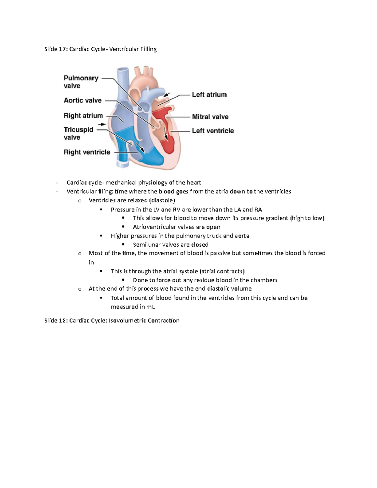 Cardiovascular system 17-26 - Slide 17: Cardiac Cycle- Ventricular ...