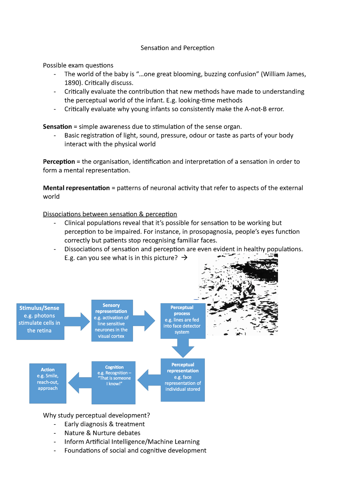 Sensation and Perception Sensation and Perception Possible exam