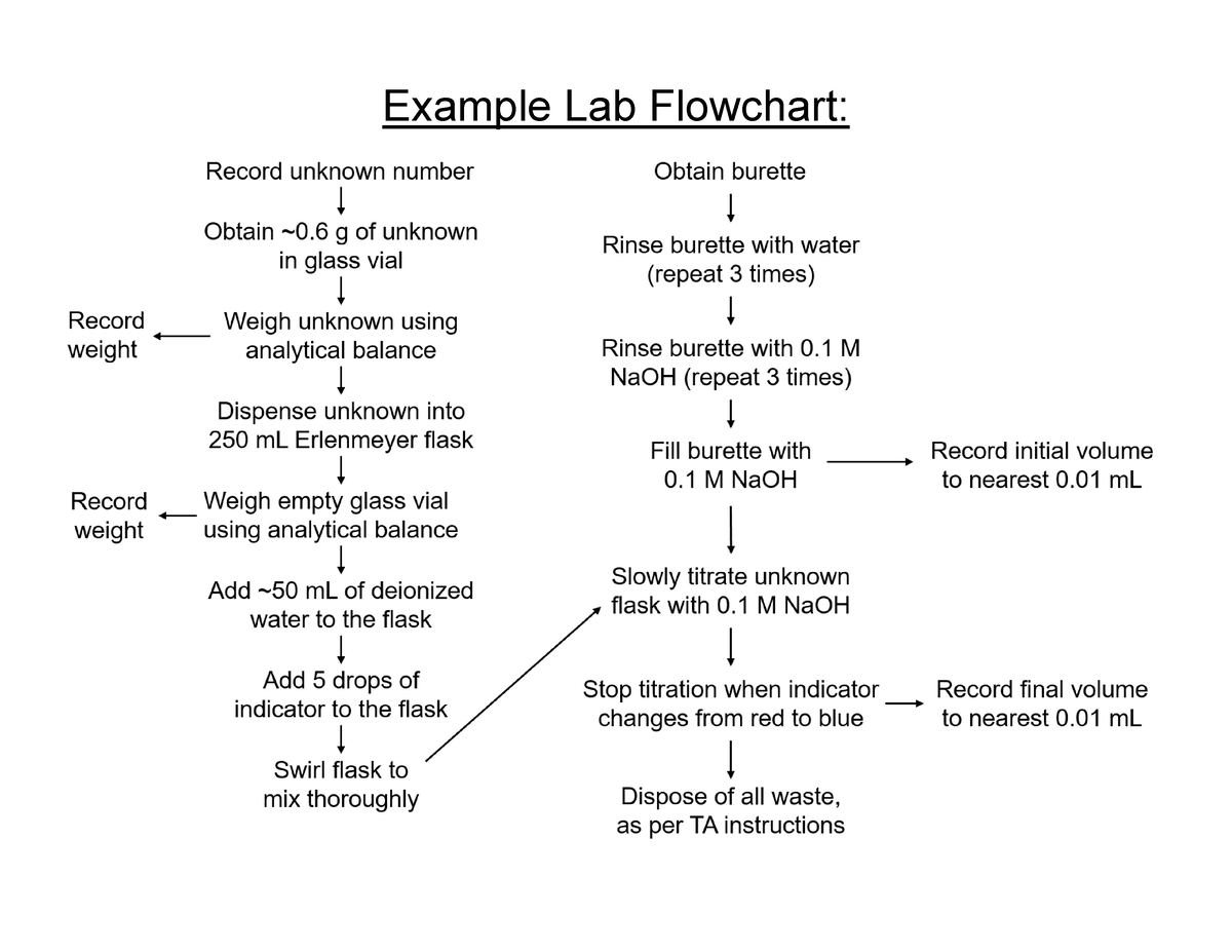 Example Lab Flowchart - BIOL 2260 - Studocu