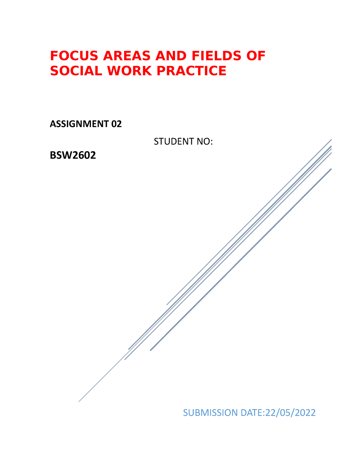 social work practice educator assignment