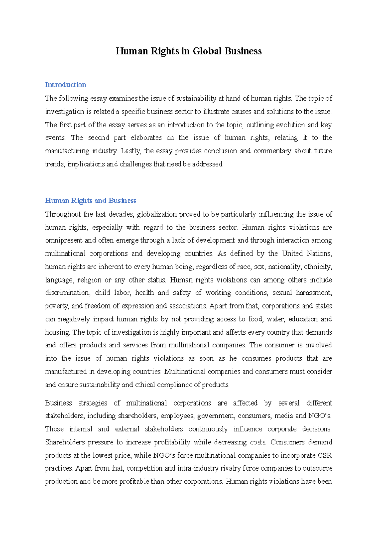 business and human rights essay