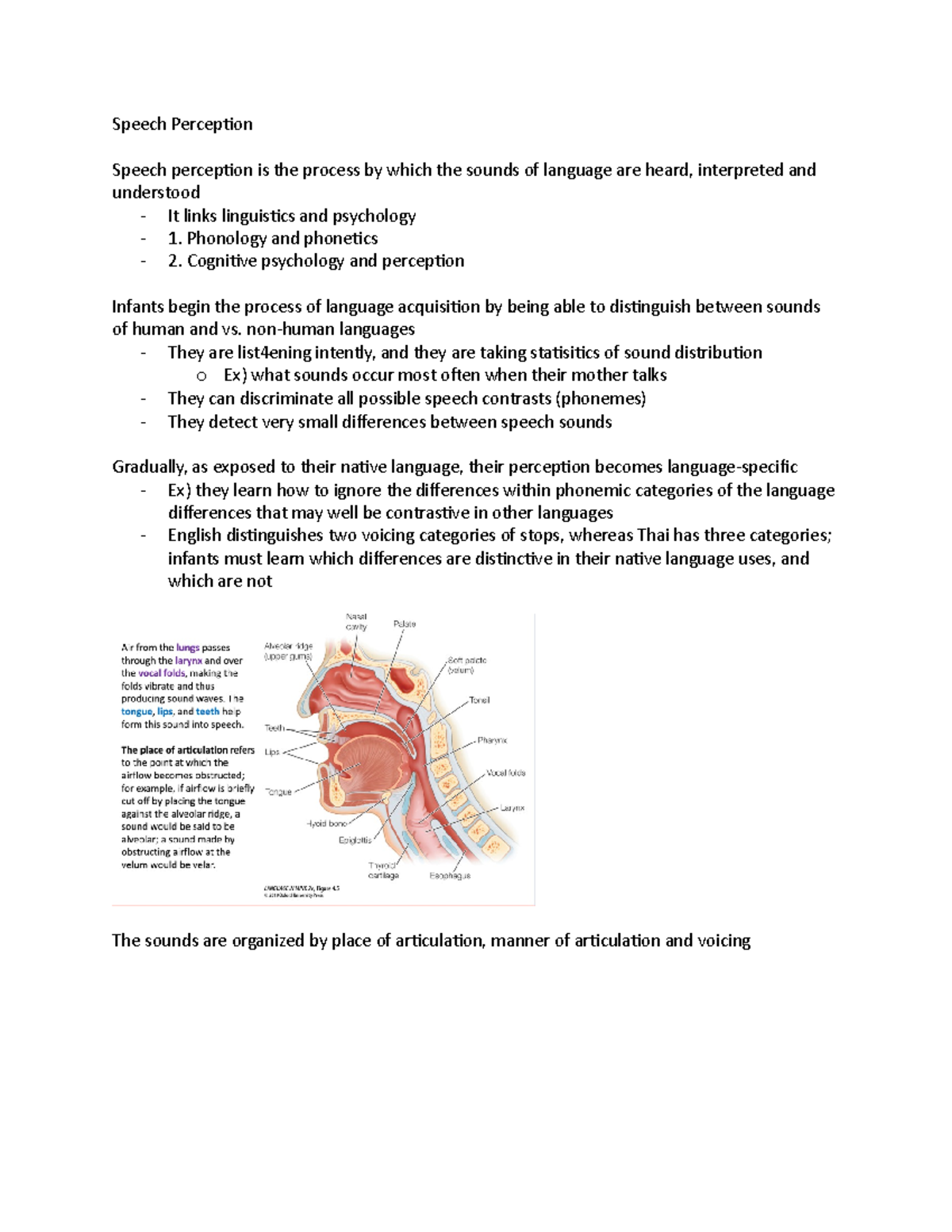 Speech Perception - Speech Perception Speech Perception Is The Process ...