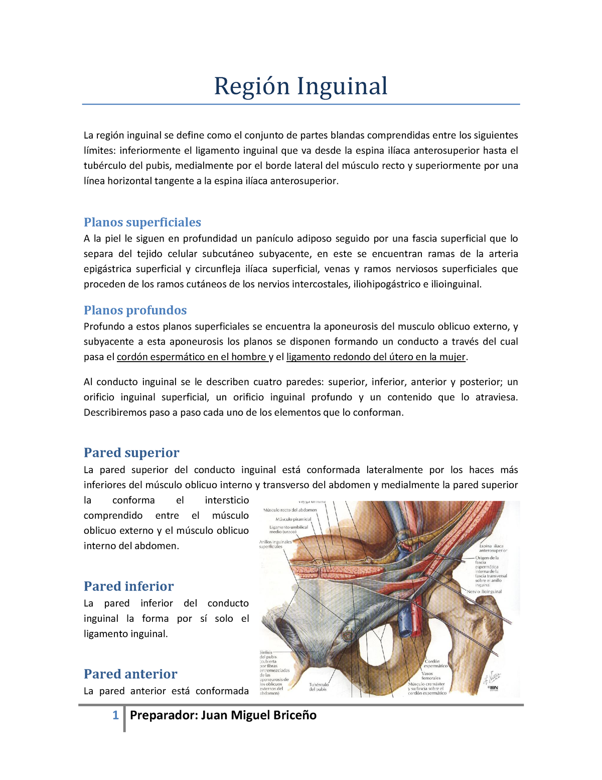 Anatomía de la región inguinal - Anatomia - UTESA - Studocu