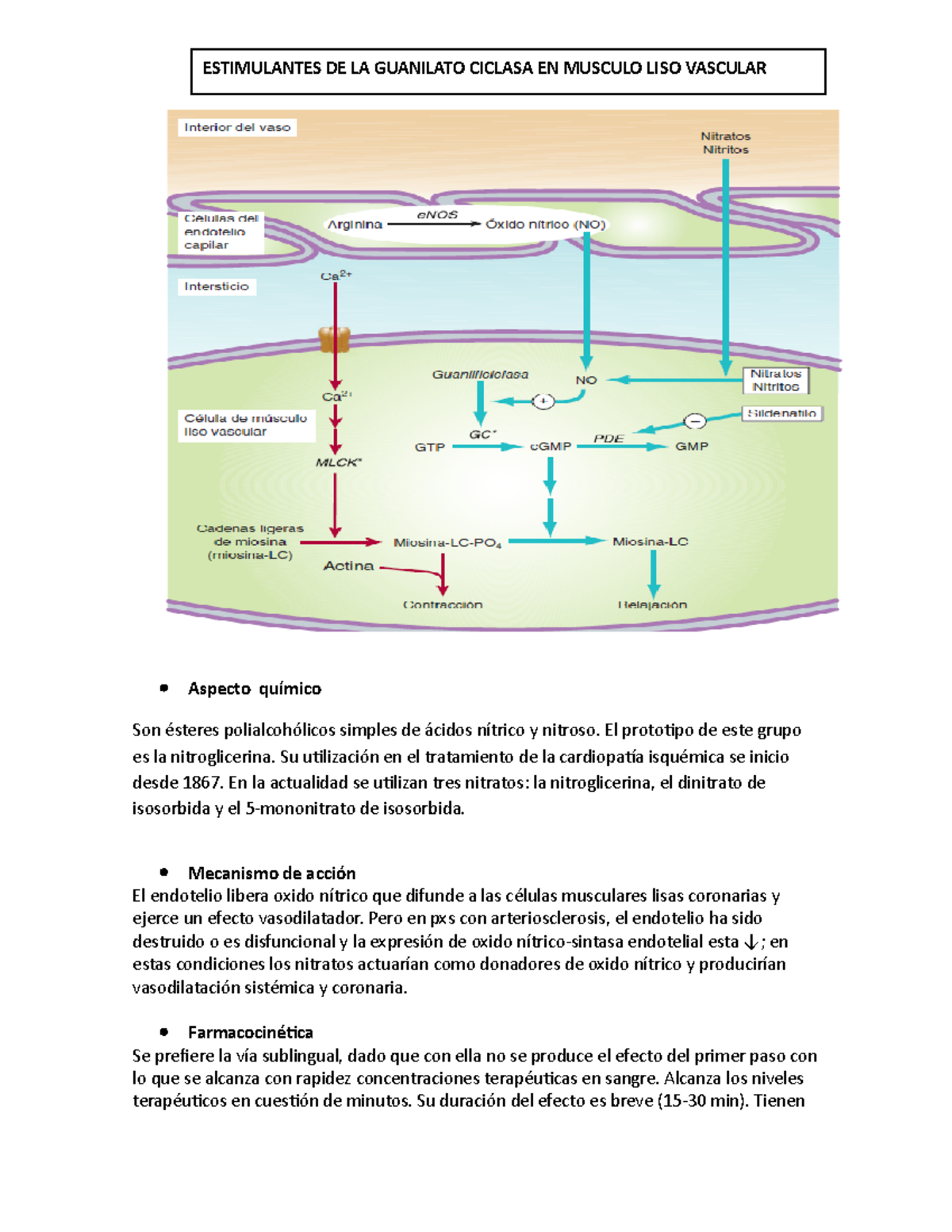 Estimulantes de la guanilato ciclasa (nitratos) Grades dosis del ion